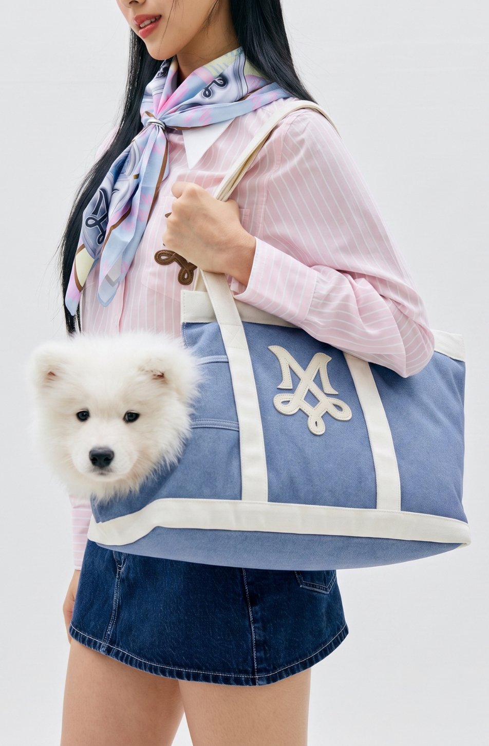 Journey Pet Bag