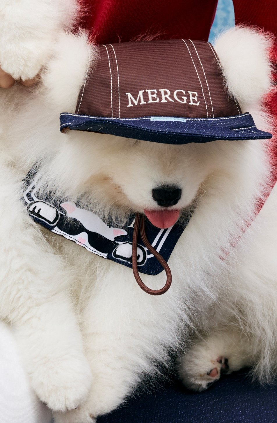 Woof Cap