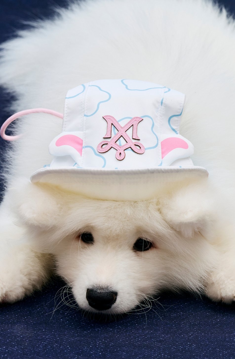 Woof Cap